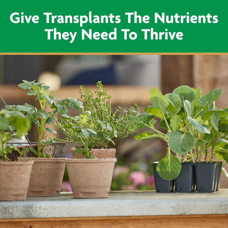Miracle-Gro® Quick Start® Planting & Transplant Starting Solution image number null